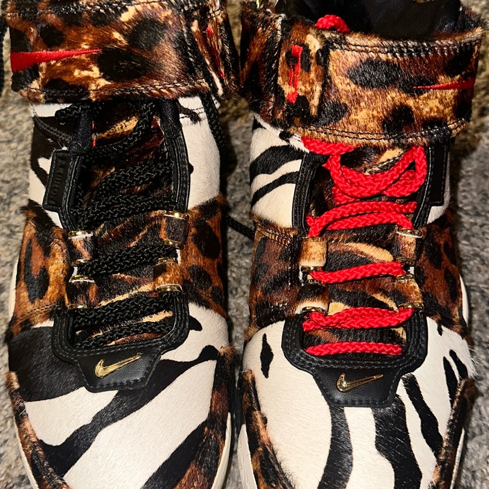 LeBron james Nikes